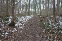 Thumbnail DSC01630.JPG 