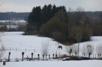 Thumbnail DSC01649.JPG 