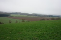 Thumbnail DSC02097.JPG 